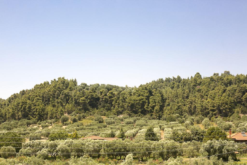 Appartamento Olive Tree *